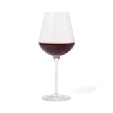 Bormioli Rocco InAlto Uno Burgundy Red Wine Glass
