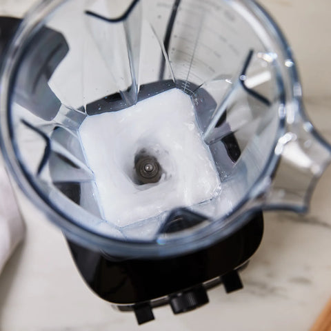 Vitamix VX1 Blender