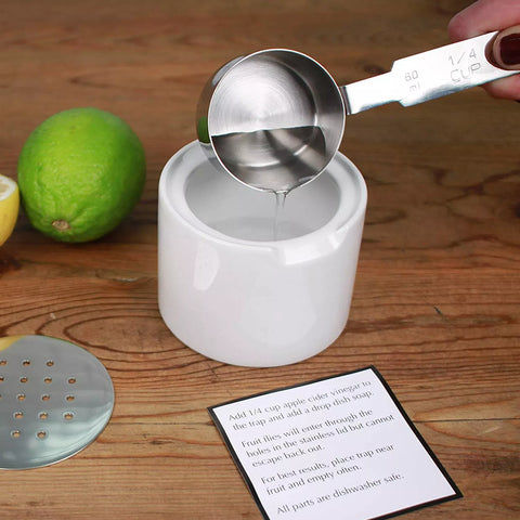Fruit Fly Trap